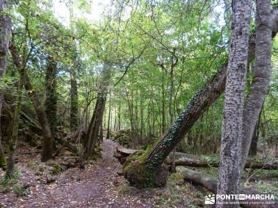 Hoces del Río Duratón - Sepúlveda;caminos y senderos viajes y rutas senderos y caminos